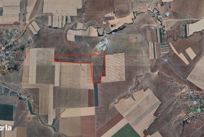 Teren de 590000 mp, în Saraiu - 5