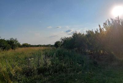 Casă în Alioș - 1