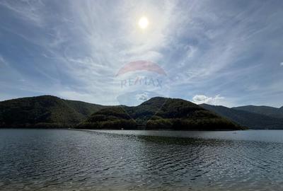 Teren intravilan cu deschidere la lacul Tarnita - 5