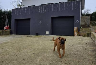 Casă cu 4 camere în Central - 7