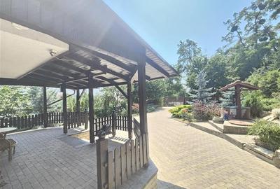 Casa P+M de vanzare in Hemeius - 18