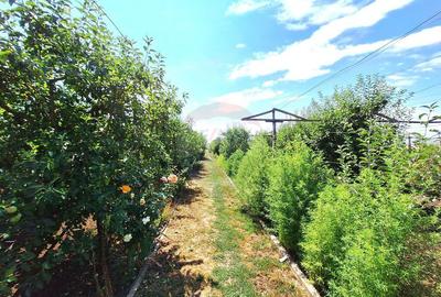 Casa cu teren de vanzare Casa cu teren de vanzare - 11