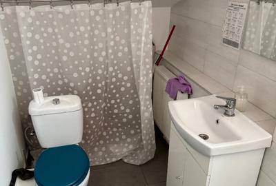 Spatiu comercial de inchiriat ultracentral - 15