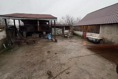 Casă cu Teren 1650 Mp în Central - 3