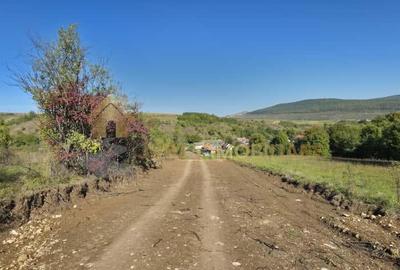 Teren Construcții intravilan de 11000 mp, în Suceagu - 5