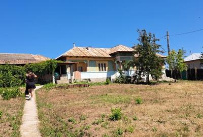Casă cu 5 camere cu Teren 2500 Mp în Troianul - 1