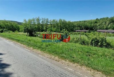 Teren de 772 mp, în Ciugud - 6