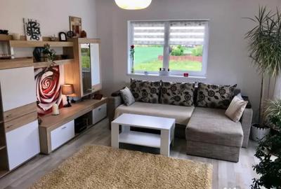 Apartament cu 2 camere decomandat în Sânpetru - 2