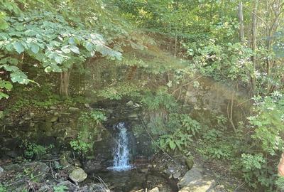 Teren de 4000 mp, în Păscoaia - 7