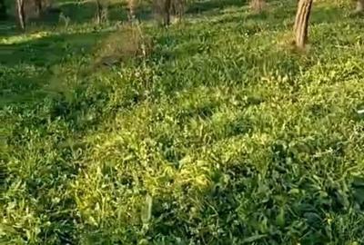 Spațiu comercial, în Central - 5