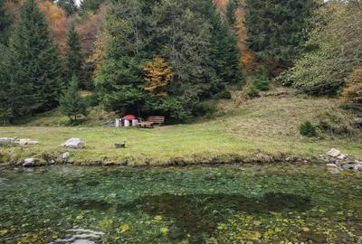 Teren în Zărnești - 8