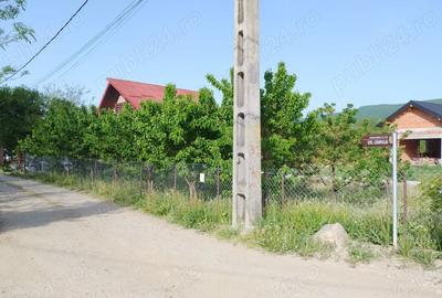Teren de 2200 mp, în Olteni - 6