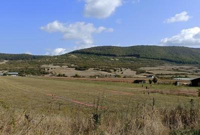 Teren Construcții intravilan de 12300 mp, în Sud - 4