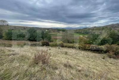 Teren de 2800 mp, în Drâmbar