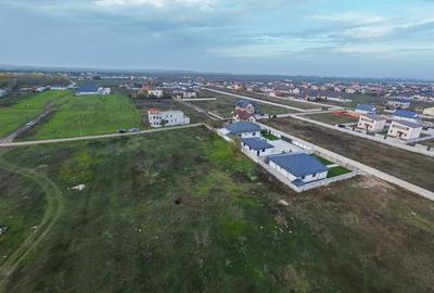 Teren intravilan 634 mp Domnesti - 4