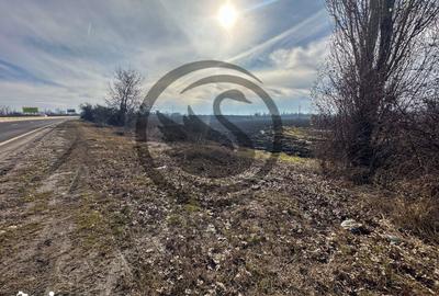 Teren de 10083 mp, în Gorgota - 7