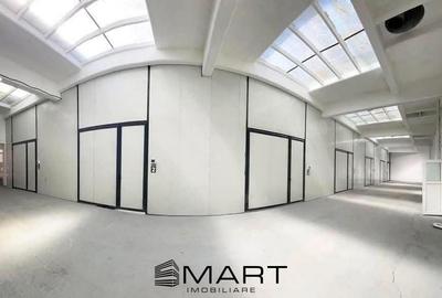 Spațiu industrial, de 100 mp, în Cisnădie