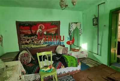 Casa veche de vanzare in comuna Mihalt - 5