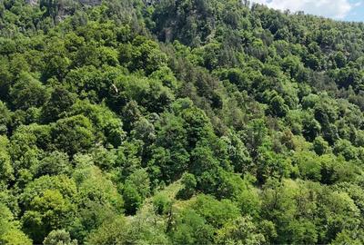 Spațiu comercial, în Central