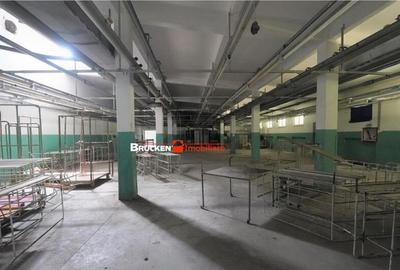 OPORTUNITATE INVESTITIONALA | HALA VASCAU - 6