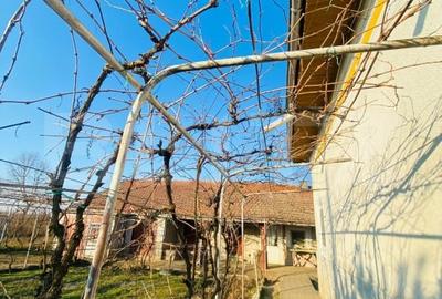 Casa pe parter, 2.753 mp teren, Marotinu de Sus - 2