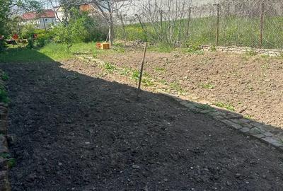 Casa 2 corpuri Ploiesti - 5