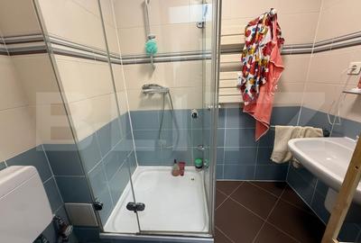 Apartament cu 4 camere, mobilat în Calea București - 15