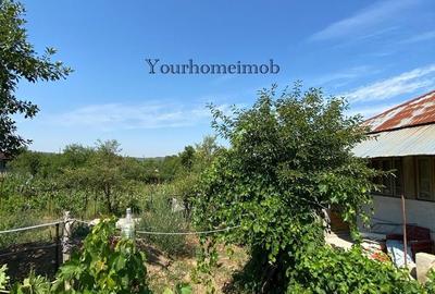 Casă cu 3 camere cu Teren 1250 Mp în Goiești - 8