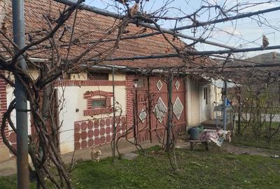 Casă în Noțig - 5