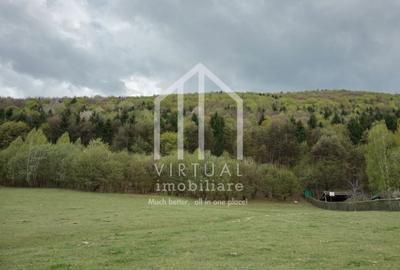 Teren Construcții intravilan de 3862 mp, în Sadu - 1