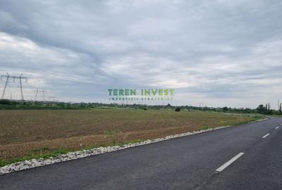 TEREN 10.000 MP CU TOATE UTILITATILE - SPLAIUL DAMBOVITEI - 4