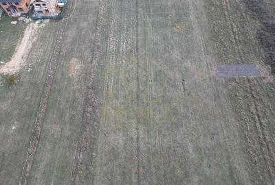 Teren 825mp  cu autorizatie de duplex sau casa individuala | Giroc - 3