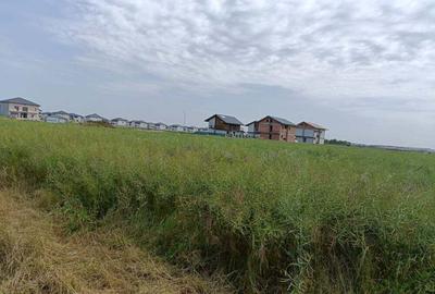 Teren de 4500 mp, în Dragomirești-Deal - 1