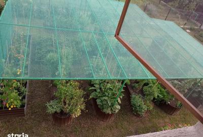 Casă cu 5 camere cu Teren 1500 Mp în Drajna - 10