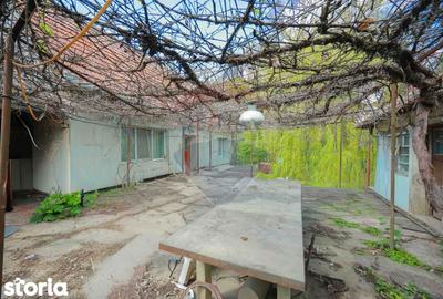 Casă cu 4 camere cu Teren 1425 Mp în Podgoria - 3