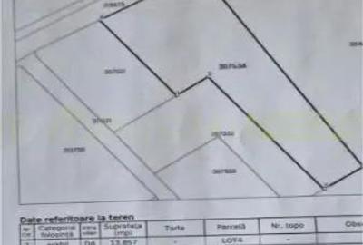 Pecica, jud Arad, 6ha teren de vanzare Pecica, jud Arad, 6ha teren de vanzare - 8