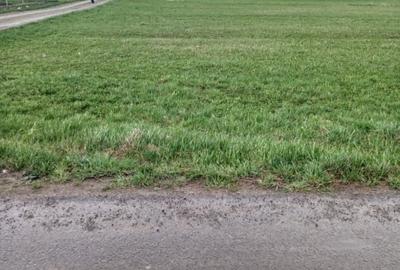 Teren Construcții intravilan de 3000 mp, în Bivolăria - 1