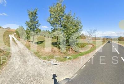 Teren agricol intravilan de 3423 mp, în Copalnic - 4