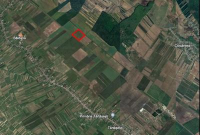 Teren agricol 13,5 hectare | Tartasesti | Ciocanesti | DB - 1