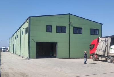 Hala zona de nord Buftea - 7