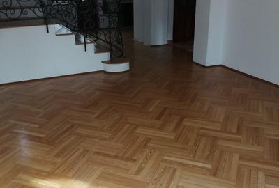 Casă individuală cu 9 camere cu Canalizare în Floreasca - 3