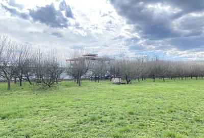 Spațiu comercial, în Berevoești - 5