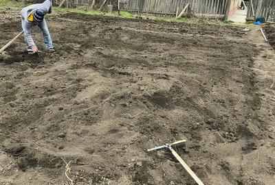 Casă cu 2 camere în Surdila-Greci - 1