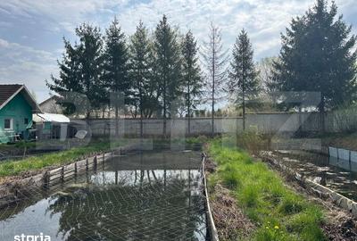 Casă cu 1 camere cu Teren 2300 Mp în Prejmer - 3