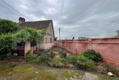 Casa 266 mp, 3992 mp teren, garaj, terasa, Topolovatu Mare-Timisoara - 2