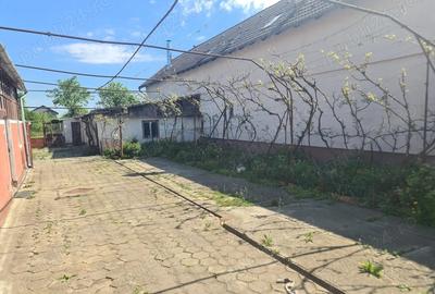 Casa regim Dp+P teren generos 1152 mp Codlea, DN1, 2 garaje, gradina - 2