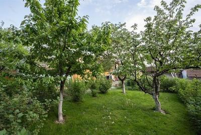 Casa individuala P+M , 5 dormitoare, 3 bai, 556 mp teren, Cernatu, Sacele - 2