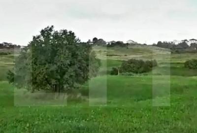 Teren de 4039 mp, în Borhanci - 2