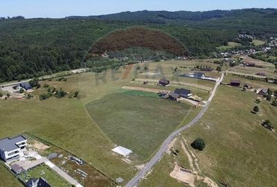 Teren 3,757mp Paltinoasa / Strada principala - 9