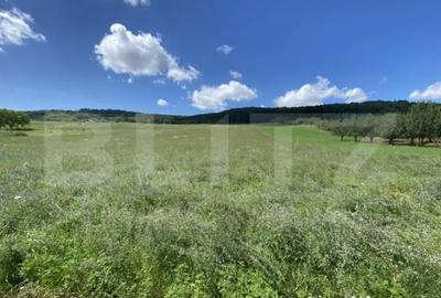 Teren de 19213 mp, în Central - 3